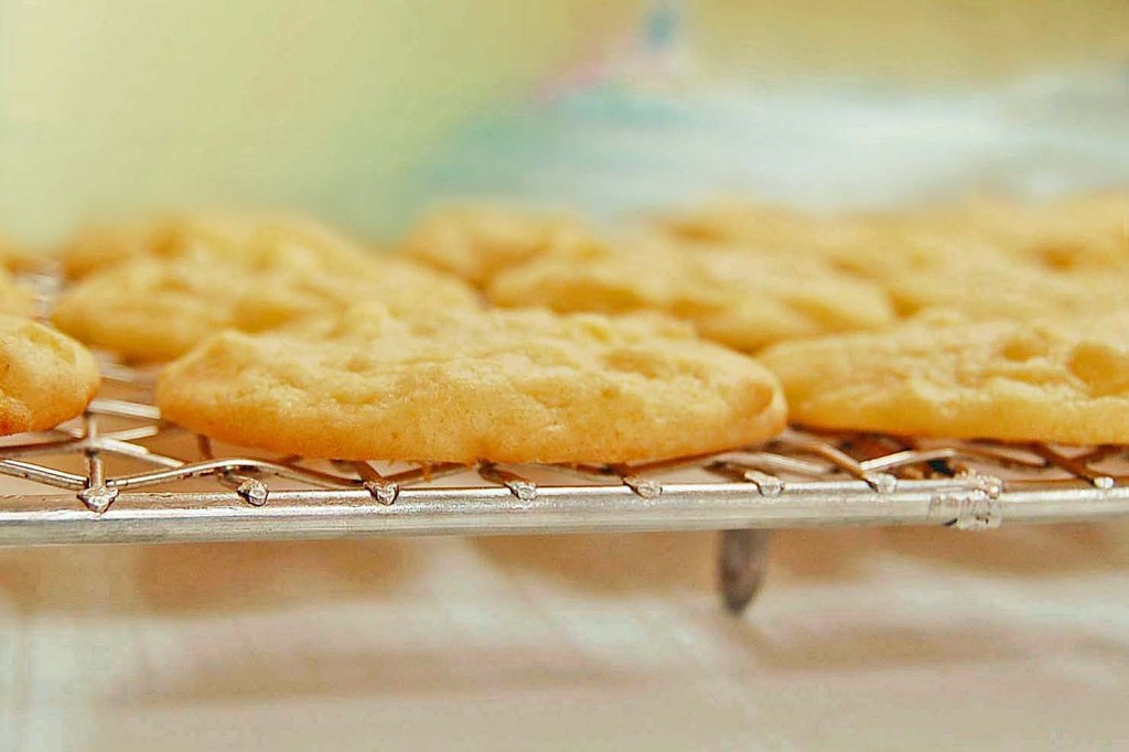 biscuit gingembre, orange, chocolat blanc biscuit gingembre, orange, chocolat blanc