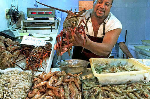 Visite au marché aux poissons de Niterói