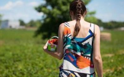 Le kit de l’agrotouriste averti