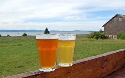 15 coups de cœur pour boire local