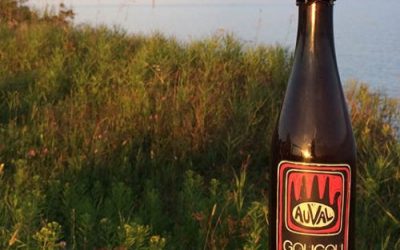 Défi Boire Local 2016 : bilan