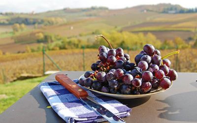 3 jours gourmands dans les vignes du Piémont