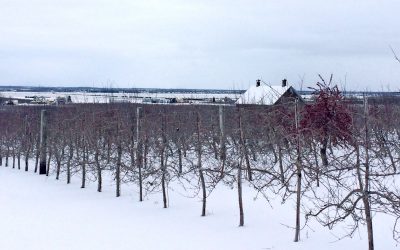 Rando et cidre chaud