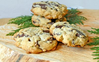 Biscuits au chocolat et au cèdre