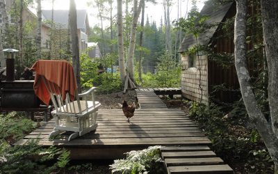 7 idées pour dormir à la ferme au Québec