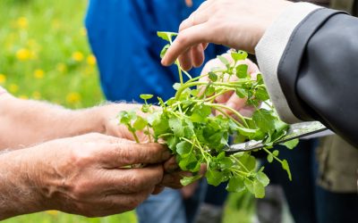 9 raisons de manger selon les saisons