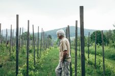 Une histoire de pommes, de vin et de crottin