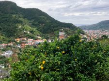 S'ouvrir l'appétit en randonnées alimentaires à Madère paysage