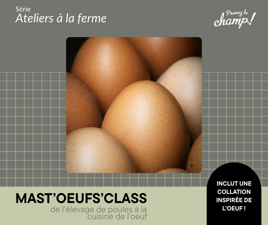 Mast'oeufs