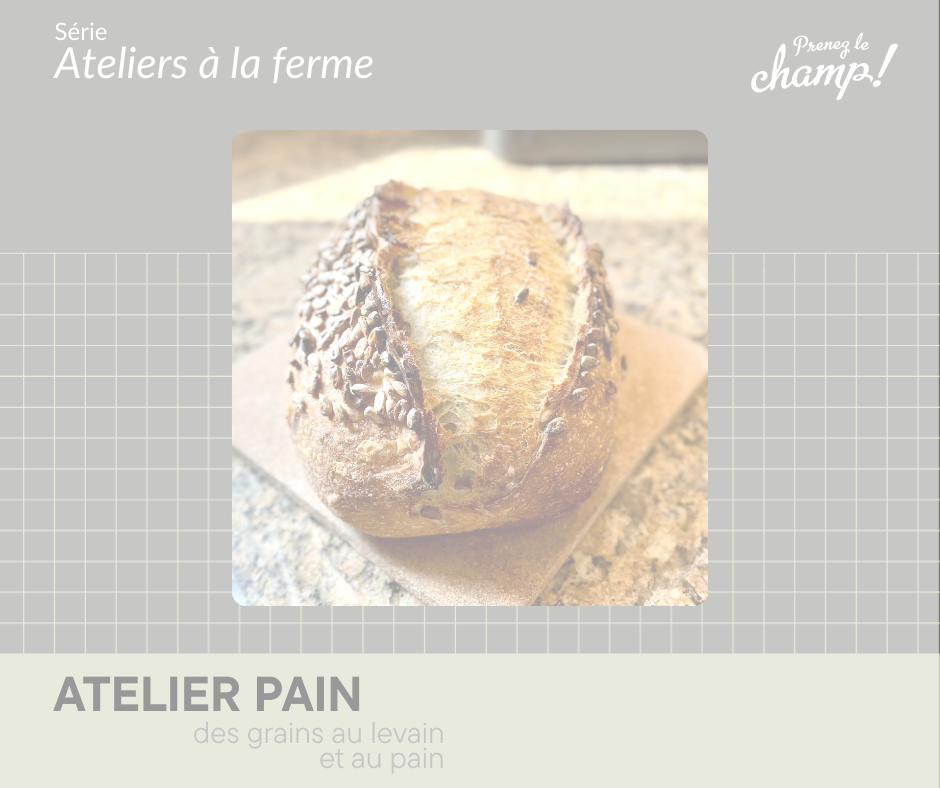 Pain_passé