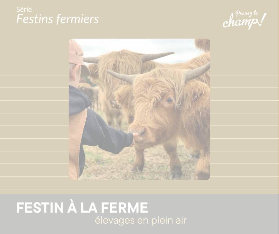 APXFL_passé2